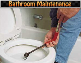 Toilet Repair